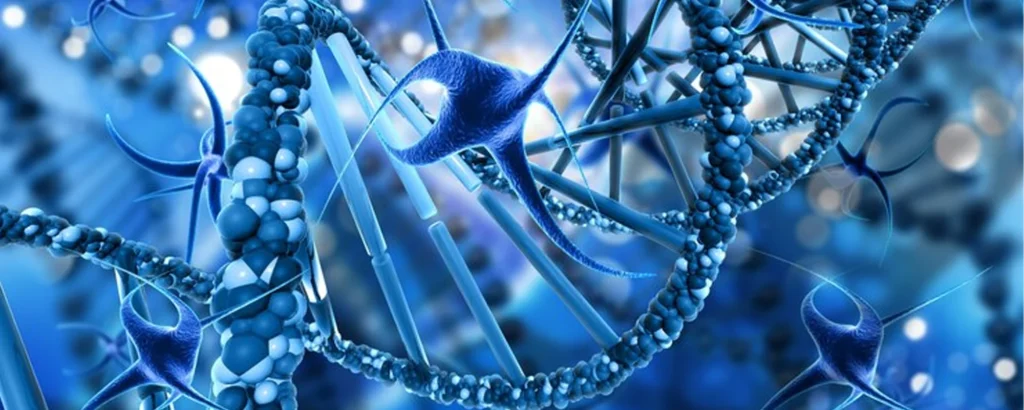 What Are Peptides and How Do They Work